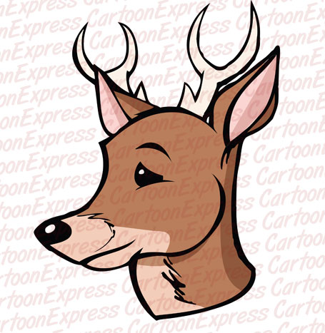 deer buck